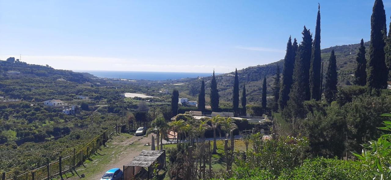 فيلا Antigua Finca De Ayo Y Karina فريجيليانا المظهر الخارجي الصورة