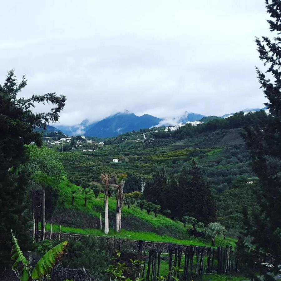 فيلا Antigua Finca De Ayo Y Karina فريجيليانا المظهر الخارجي الصورة